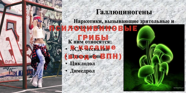 твердый Алзамай