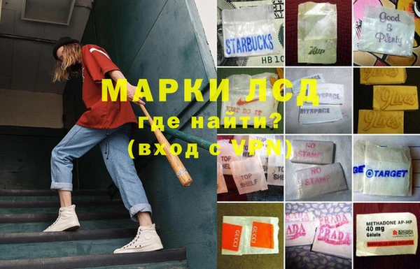 твердый Алзамай