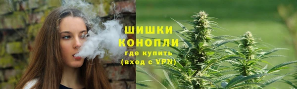 ПСИЛОЦИБИНОВЫЕ ГРИБЫ Михайловск