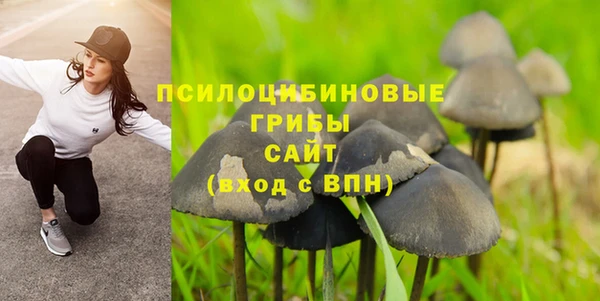 твердый Алзамай
